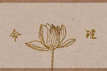 中国万年历黄道吉日|日历黄道吉日年|《万年历》黄道吉日